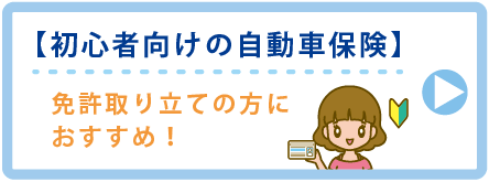 初心者向けの自動車保険